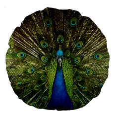 Peacock Feathers Bird Nature Large 18  Premium Round Cushions by Vaneshart