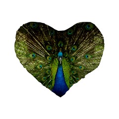 Peacock Feathers Bird Nature Standard 16  Premium Heart Shape Cushions by Vaneshart