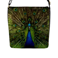 Peacock Feathers Bird Nature Flap Closure Messenger Bag (l) by Vaneshart