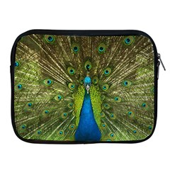 Peacock Feathers Bird Nature Apple Ipad 2/3/4 Zipper Cases by Vaneshart