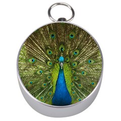 Peacock Feathers Bird Nature Silver Compasses by Vaneshart