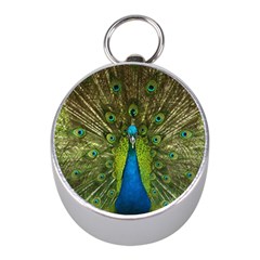 Peacock Feathers Bird Nature Mini Silver Compasses by Vaneshart