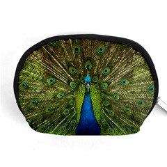 Peacock Feathers Bird Nature Accessory Pouch (medium) by Vaneshart