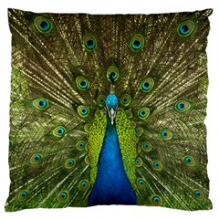 Peacock Feathers Bird Nature Large Flano Cushion Case (two Sides) by Vaneshart