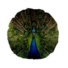 Peacock Feathers Bird Nature Standard 15  Premium Flano Round Cushions by Vaneshart