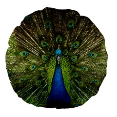 Peacock Feathers Bird Nature Large 18  Premium Flano Round Cushions by Vaneshart