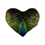 Peacock Feathers Bird Nature Standard 16  Premium Flano Heart Shape Cushions Front