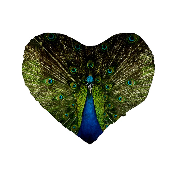 Peacock Feathers Bird Nature Standard 16  Premium Flano Heart Shape Cushions