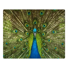 Peacock Feathers Bird Nature Double Sided Flano Blanket (large)  by Vaneshart