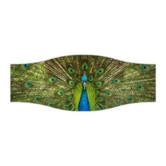 Peacock Feathers Bird Nature Stretchable Headband by Vaneshart