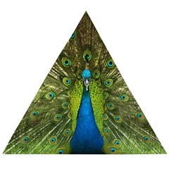 Peacock Feathers Bird Nature Wooden Puzzle Triangle by Vaneshart