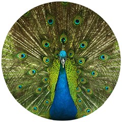 Peacock Feathers Bird Nature Wooden Puzzle Round by Vaneshart