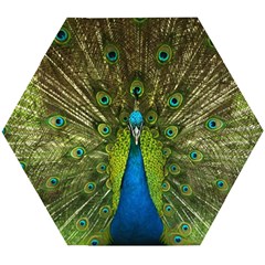 Peacock Feathers Bird Nature Wooden Puzzle Hexagon by Vaneshart