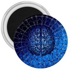 Brain Web Network Spiral Think 3  Magnets by Vaneshart