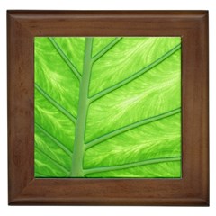 Green Bright Digital Manipulation Framed Tile by Vaneshart