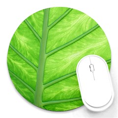 Green Bright Digital Manipulation Round Mousepads by Vaneshart