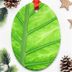 Green Bright Digital Manipulation Ornament (Oval)