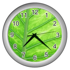 Green Bright Digital Manipulation Wall Clock (silver) by Vaneshart