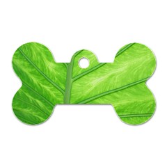 Green Bright Digital Manipulation Dog Tag Bone (One Side)