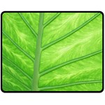 Green Bright Digital Manipulation Fleece Blanket (Medium)  60 x50  Blanket Front