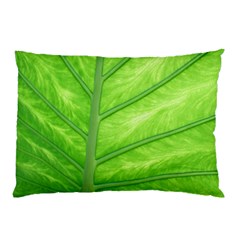 Green Bright Digital Manipulation Pillow Case (Two Sides)