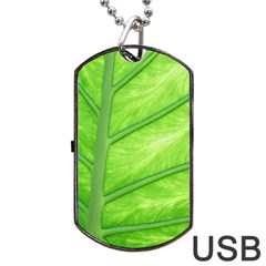 Green Bright Digital Manipulation Dog Tag Usb Flash (one Side) by Vaneshart