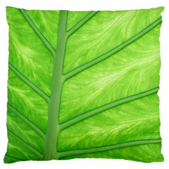 Green Bright Digital Manipulation Large Cushion Case (one Side) by Vaneshart