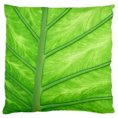 Green Bright Digital Manipulation Standard Flano Cushion Case (two Sides) by Vaneshart