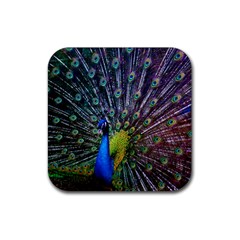 Peacock Colors Bird Colorful Rubber Coaster (square)  by Vaneshart