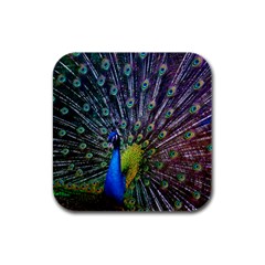 Peacock Colors Bird Colorful Rubber Square Coaster (4 Pack)  by Vaneshart