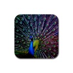 Peacock Colors Bird Colorful Rubber Square Coaster (4 pack)  Front