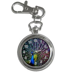 Peacock Colors Bird Colorful Key Chain Watches