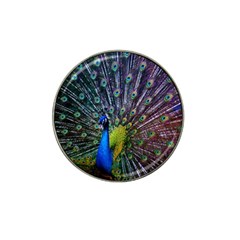 Peacock Colors Bird Colorful Hat Clip Ball Marker (4 pack)