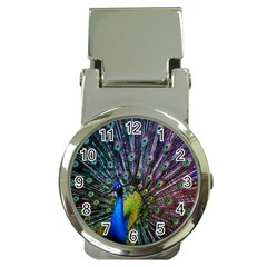 Peacock Colors Bird Colorful Money Clip Watches