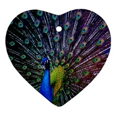 Peacock Colors Bird Colorful Heart Ornament (two Sides) by Vaneshart