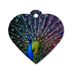 Peacock Colors Bird Colorful Dog Tag Heart (One Side)