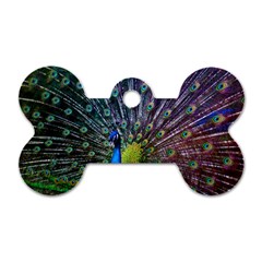 Peacock Colors Bird Colorful Dog Tag Bone (One Side)