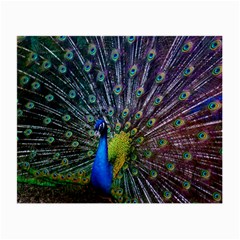 Peacock Colors Bird Colorful Small Glasses Cloth (2 Sides)