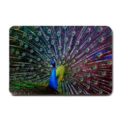 Peacock Colors Bird Colorful Small Doormat 