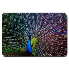 Peacock Colors Bird Colorful Large Doormat 