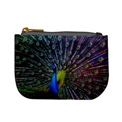 Peacock Colors Bird Colorful Mini Coin Purse by Vaneshart