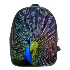 Peacock Colors Bird Colorful School Bag (Large)