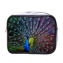 Peacock Colors Bird Colorful Mini Toiletries Bag (One Side)