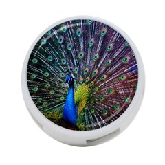 Peacock Colors Bird Colorful 4-Port USB Hub (One Side)