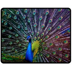 Peacock Colors Bird Colorful Fleece Blanket (Medium) 