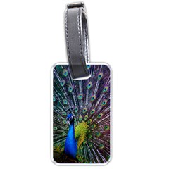 Peacock Colors Bird Colorful Luggage Tag (one side)