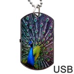 Peacock Colors Bird Colorful Dog Tag USB Flash (Two Sides) Front