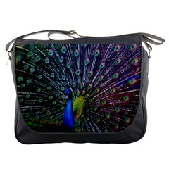 Peacock Colors Bird Colorful Messenger Bag