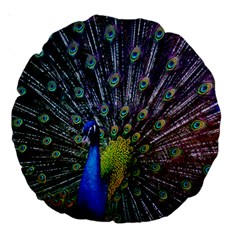 Peacock Colors Bird Colorful Large 18  Premium Round Cushions