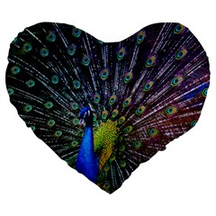 Peacock Colors Bird Colorful Large 19  Premium Heart Shape Cushions